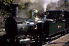 Manx loco
